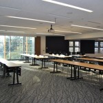 HUB 250